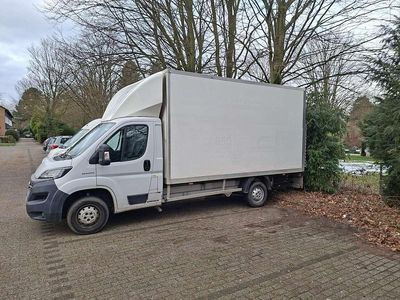 Gebraucht Fiat Ducato 140 PS (102 kW) 2020 Weiß Van