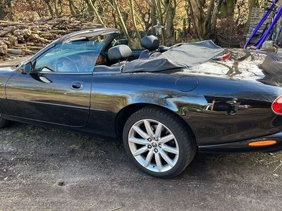 gebraucht Jaguar XK8 