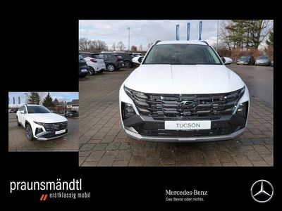 Gebraucht Hyundai Tucson Trend 215 PS (158 kW) 2024 Atlas white / sol SUV