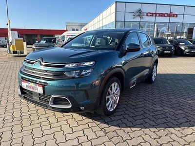 Gebraucht Citroën C5 Aircross Live 131 PS (96 kW) 2019 Lackierung emerald crystal/typ SUV