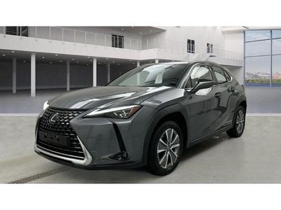 Gebraucht Lexus UX 300e Luxury Line 150 kW (204 PS) 2022 Grau SUV