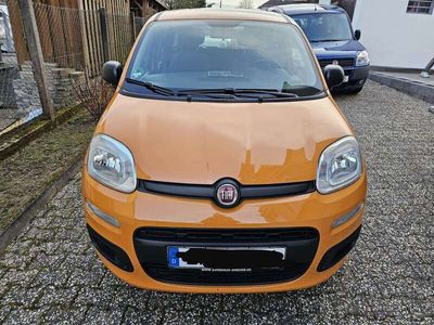 gebraucht Fiat Panda New