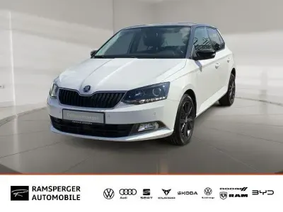 Usata Skoda Fabia Style 90 CV (66 kW) 2016 Bianco Berlina