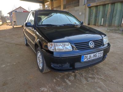 VW Polo