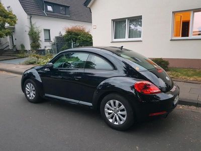 VW Beetle