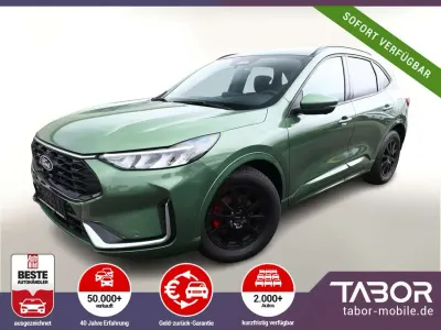 Używany Ford Kuga ST-Line X 151 KM (111 kW) 2024 Zielony SUV