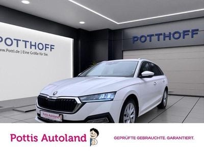 Gebraucht Skoda Octavia Style 150 PS (110 kW) 2023 Candyweiß Kombi