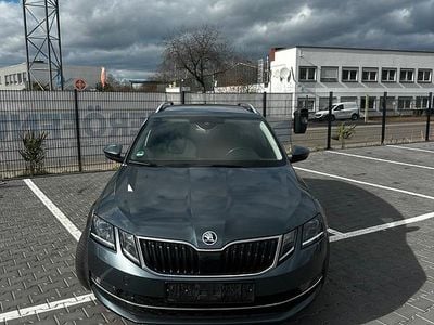 Gebraucht Skoda Octavia 116 PS (85 kW) 2019 Kombi