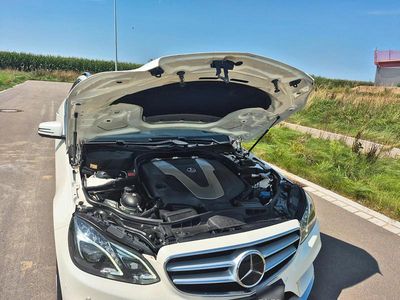 Usata Mercedes E350 258 CV (189 kW) 2014 Bianco Station wagon