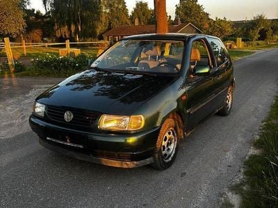 VW Polo