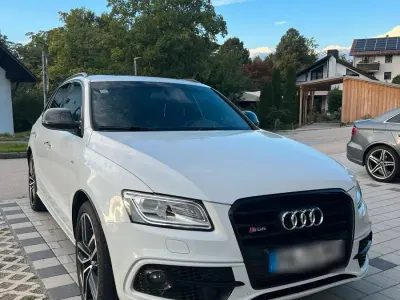 Gebraucht Audi SQ5 340 PS (250 kW) 2016 Weiß SUV