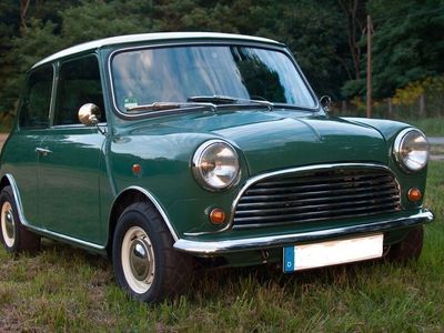 Mini 1300