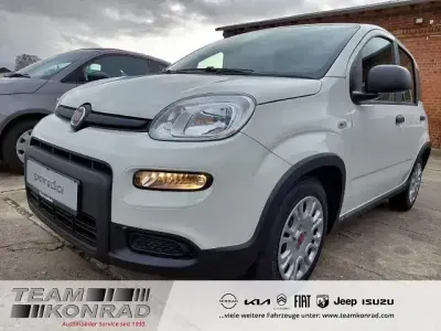 Occasion Fiat Panda 69 ch (50 kW) 2024 Blanc Citadine