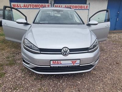 Grau Gebraucht 2019 VW Golf VII Kombi | 13.985 € (Guter Preis)