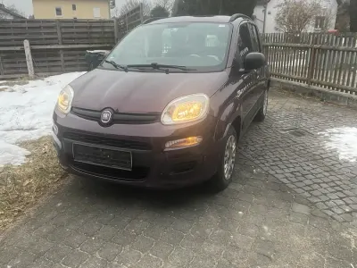 Używany Fiat Panda 69 KM (50 kW) 2012 Purpurowy Hatchback