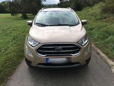 Gebraucht Ford Ecosport Titanium 125 PS (91 kW) 2018 Beige SUV