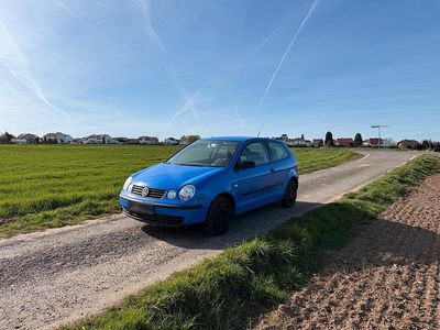 Second-hand VW Polo Basis 64 CP (47 kW) 2003 Albastru Hatchback