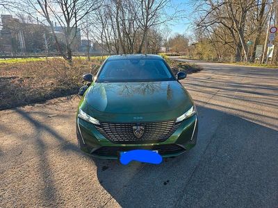 Gebraucht Peugeot 308 130 PS (95 kW) 2023 Grün Limousine