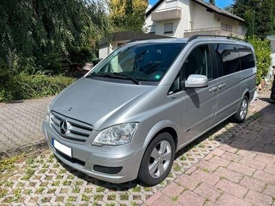 Mercedes Viano