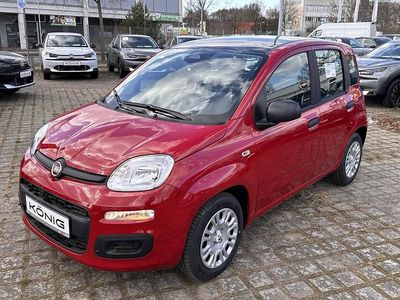 Neu Fiat Panda 69 PS (50 kW) 2026 Rot Kleinwagen