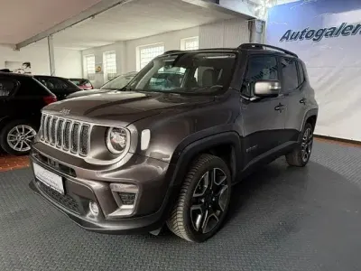 Brugt Jeep Renegade Limited 180 HK (132 kW) 2019 Grå SUV