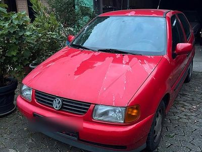 VW Polo