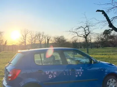 Usata Skoda Fabia 84 CV (61 kW) 2009 Blu Berlina