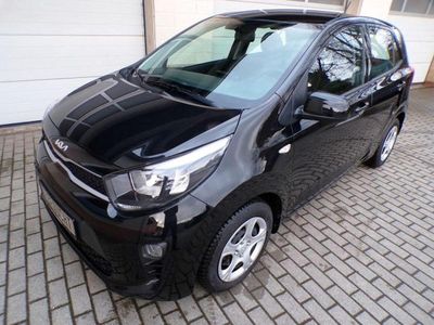 Gebraucht Kia Picanto 67 PS (49 kW) 2023 (abp)aurora black pearl Kleinwagen