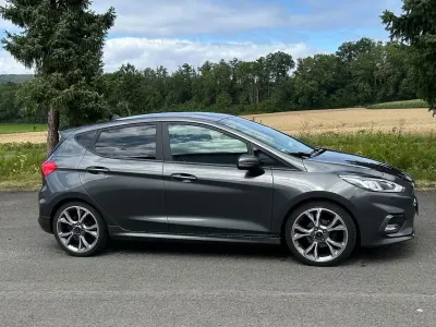 Gebraucht Ford Fiesta ST-Line 101 PS (74 kW) 2018 Grau Kleinwagen