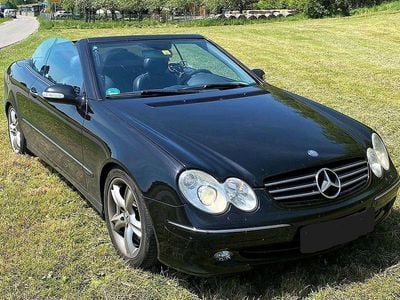 Gebraucht Mercedes CLK500 Avantgarde 306 PS (225 kW) 2004 Obsidianschwarz Cabrio