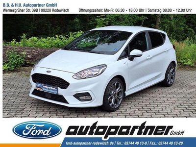 Frostweiß Gebraucht 2019 Ford Fiesta ST-Line Kleinwagen | 14.450 € (Etwas zu teuer)