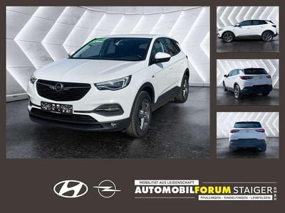 Gebraucht Opel Grandland X Business Edition 131 PS (96 kW) 2020 Jade weiss/arktis weiss SUV