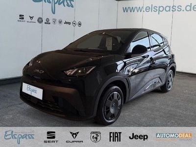 Neu BYD Dolphin Surf Active 64 kW (88 PS) 2026 Schwarz Kleinwagen