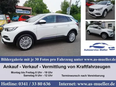 Gebraucht Opel Grandland X 224 PS (164 kW) 2020 Abalone (metallic) SUV