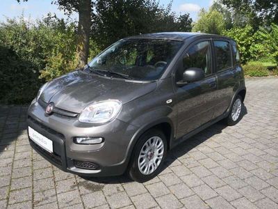 Gebraucht Fiat Panda 69 PS (50 kW) 2024 Colosseo grau metallic Kleinwagen