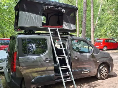 Gebraucht Citroën Berlingo Feel 131 PS (96 kW) 2019 Van / Kleinbus