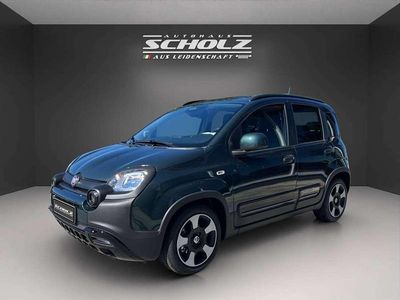 Neu Fiat Panda Cross Cross 65 PS (47 kW) 2026 Grün Kleinwagen
