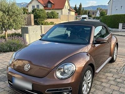 Gebraucht VW Beetle Cabriolet Allstar 110 PS (80 kW) 2016 Braun Cabrio