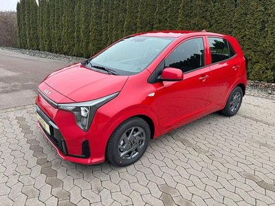 Neu Kia Picanto Vision 63 PS (46 kW) 2025 Rot Kleinwagen