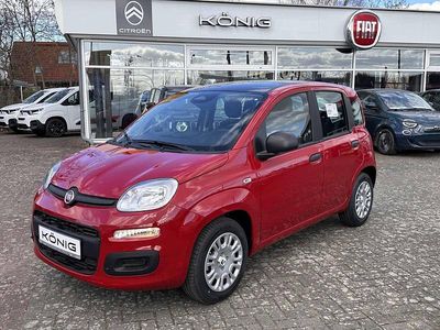 Neu Fiat Panda 69 PS (50 kW) 2026 Rot Kleinwagen