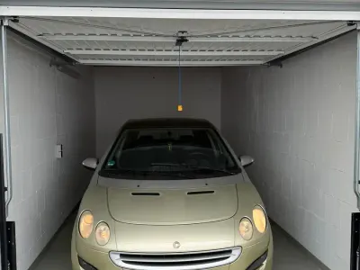 Occasion Smart ForFour