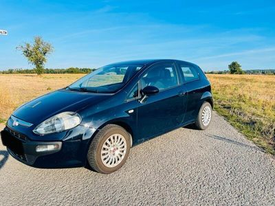 gebraucht Fiat Punto 