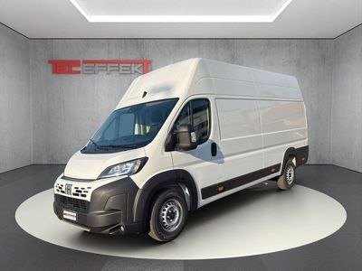 Weiß Neu 2025 Fiat Ducato Van | 35.046 € (Fairer Preis)