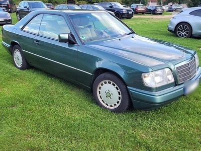 Gebraucht Mercedes 220 1995 Grün Coupé