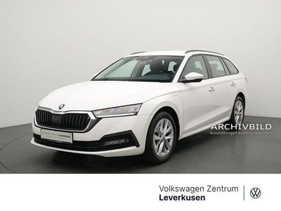 Gebraucht Skoda Octavia Ambition 204 PS (150 kW) 2023 Moonweiß perleffekt Kombi