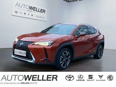 gebraucht Lexus UX 250h Amazing Edition *CarPlay*LED*ALU*SHZ*