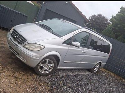 Mercedes Viano