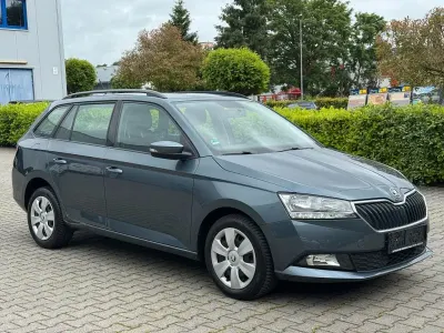 Gebraucht Skoda Fabia Active 75 PS (55 kW) 2019 Grau Kleinwagen