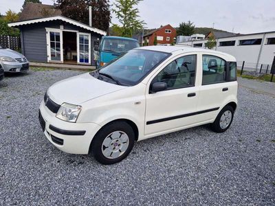 gebraucht Fiat Panda 1.1 Active 1Hand erst 54.064 km original