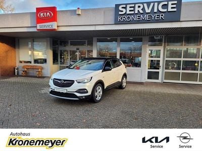 Perlmutt weiss Gebraucht 2018 Opel Grandland X Innovation SUV | 15.990 € (Fairer Preis)
